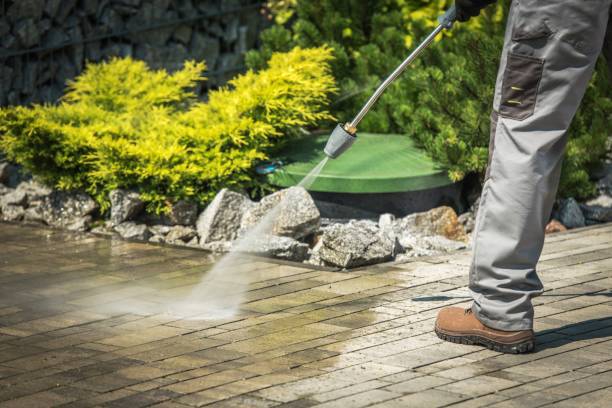 Best Soft Washing  in Creve Coeur, MO