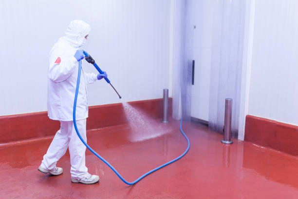 Best Driveway Pressure Washing  in Creve Coeur, MO